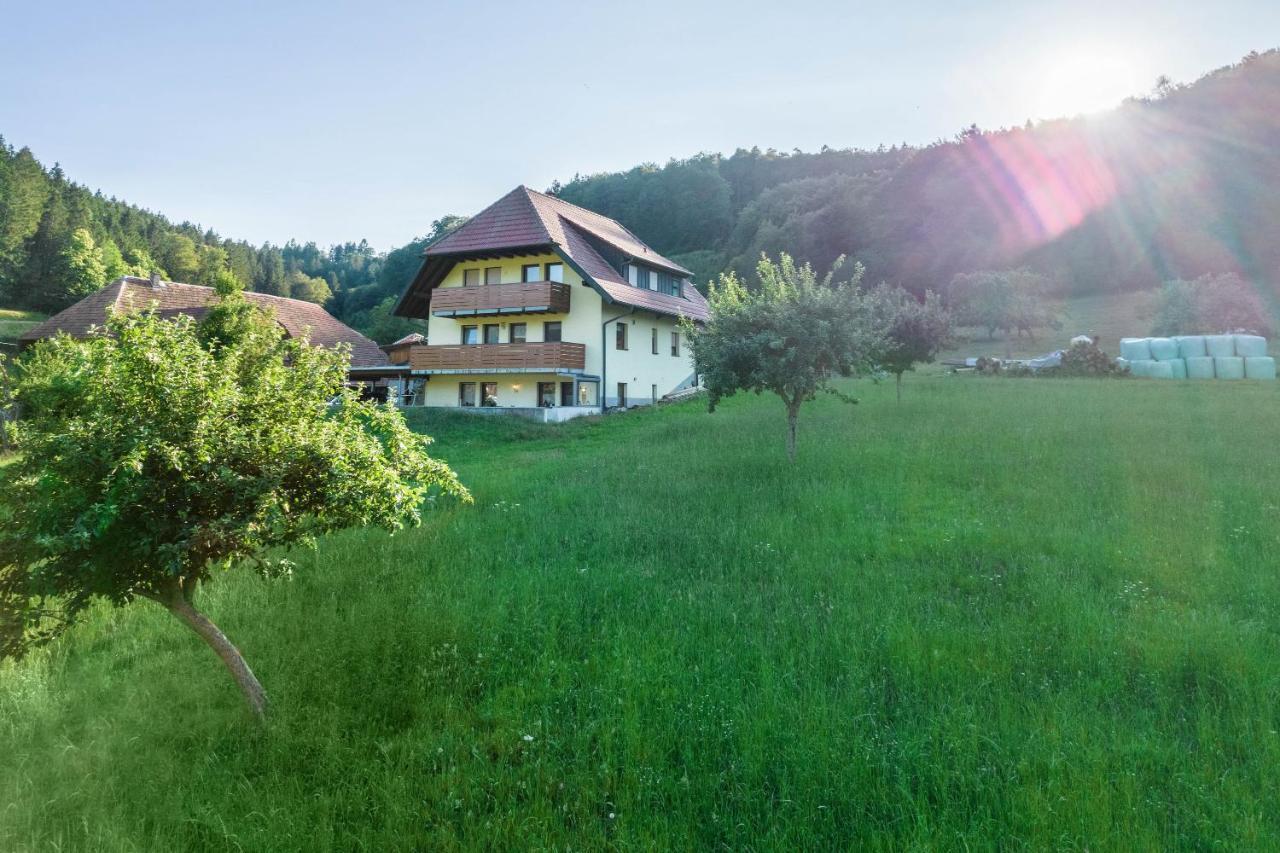 Ferienwohnung Ohnemus Schuttertal Εξωτερικό φωτογραφία